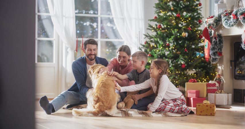 Portrait of Family at Home Sitting Next to a Christmas Tree, Petting Their Purebred Golden Retriever.