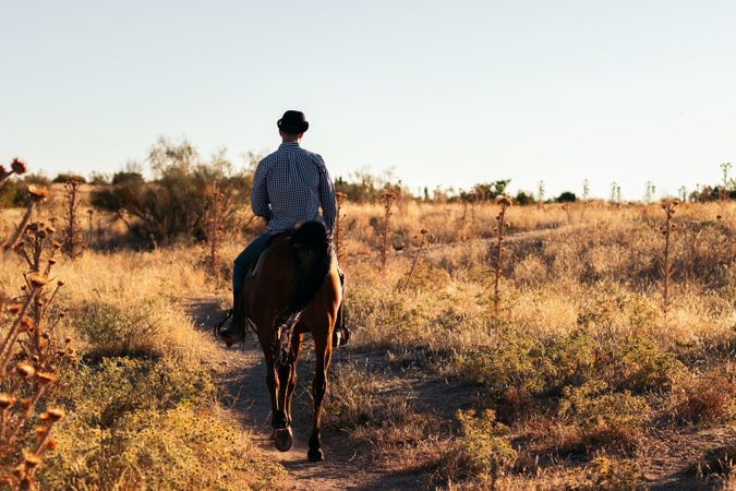 Man in hat riding a horse in the countryside at sunset