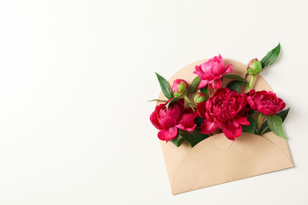 Beautiful peony flowers in envelope on light background, space for text