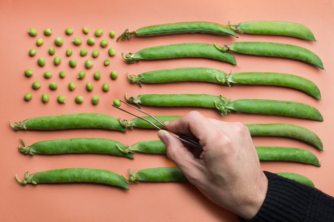 hand making USA flag made with peas and pea pods