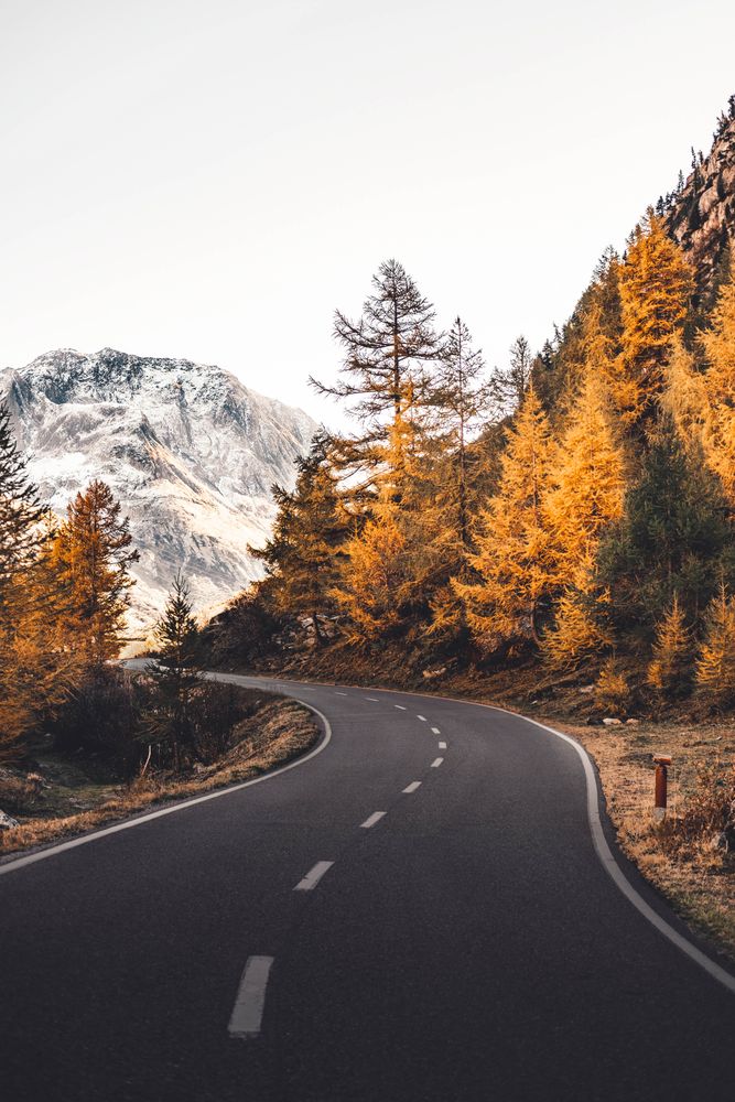 Empty route near orange trees facing snowy mountain