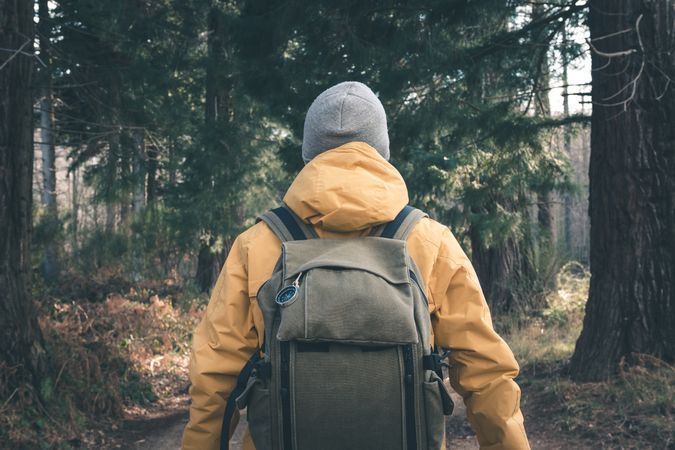 Unrecognizable traveler in conifer forest