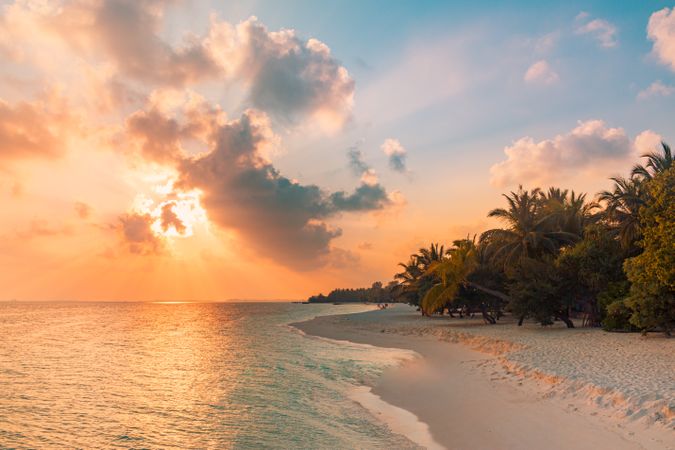 Blue and peach colored sky at dusk from a sandy beach with palm trees