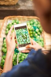 Anonymous person taking photo of ripe artichokes