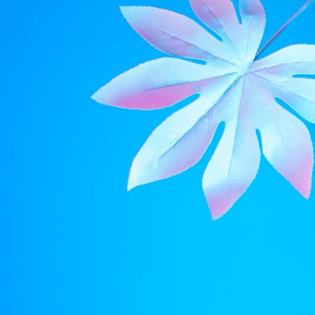 Tropical leaf in vibrant bold gradient holographic neon  colors