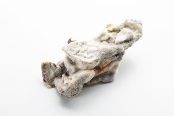 Food with mold on light background, close up