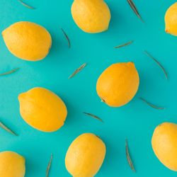 Lemons and green leaves on bright blue background