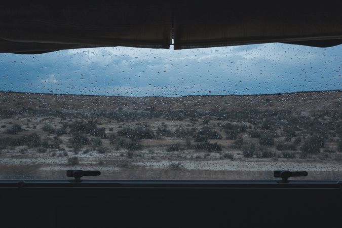 Desert gloomy landscape with green vegetation
