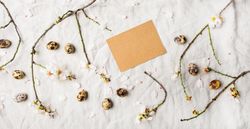 Quail eggs and blooming branches of almond tree scattered on light sheet