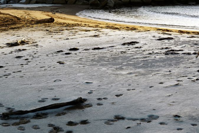 snow and wet sand on beach