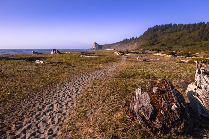 Walking path going towards the beach