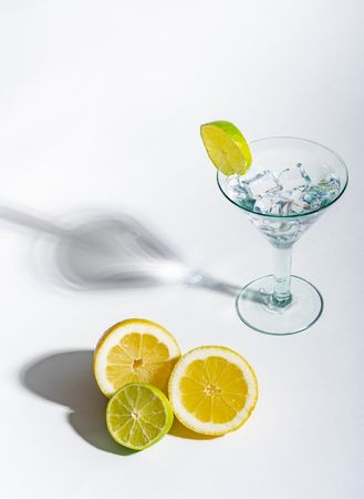 Cocktail glass with ice cubes and sliced citrus