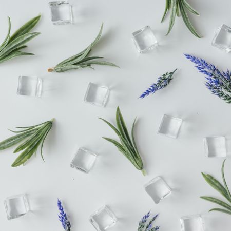 Ice cubes and lavender leaves  pattern on bright background