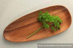 Fresh parsley on wooden plate bGa9l5