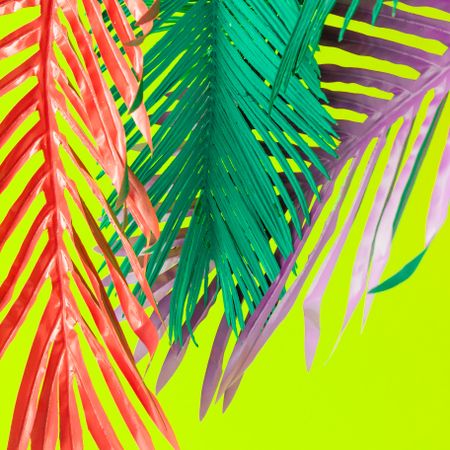 Painted tropical and palm leaves in vibrant bold colors on green background