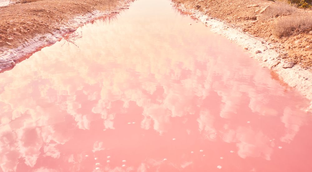 Salty pink water on seashore