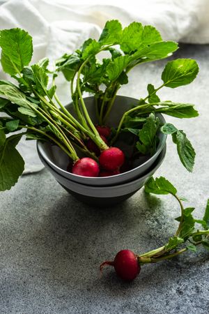 Bowl of fresh radishes on kitchen counter