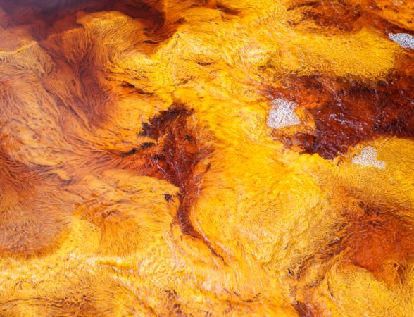 Bright orange splashes in nature