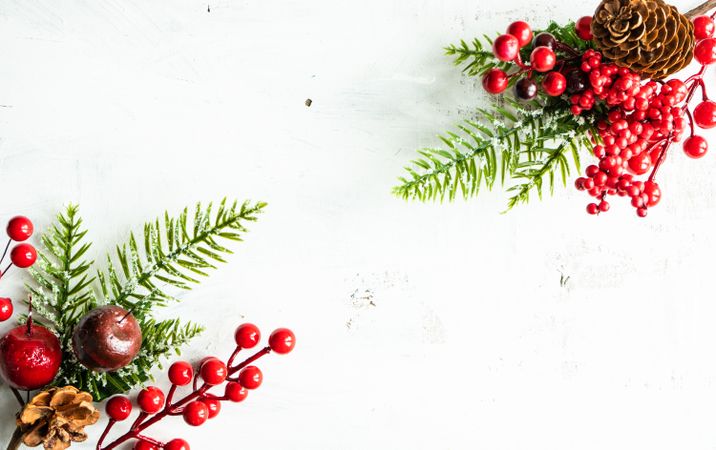 Holiday holly and pine framing picture