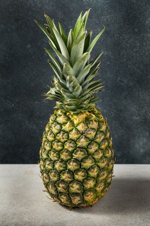Organic Raw Sweet Pineapple Fruit
