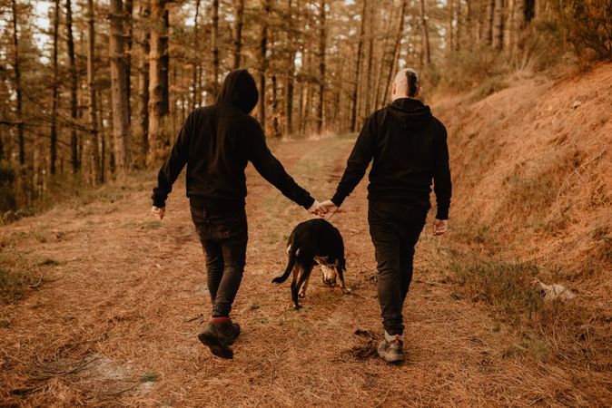 Men holding hands and walking in forest with dog