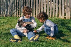 Happy little brothers caressing adorable goats on lawn in farmya