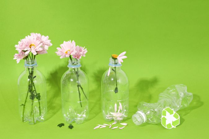 Flowers in plastic water bottle with recycling symbol