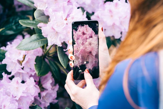Woman picturing blooming flowers