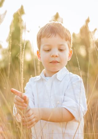 Kid in field playing with spikes at summer sunset