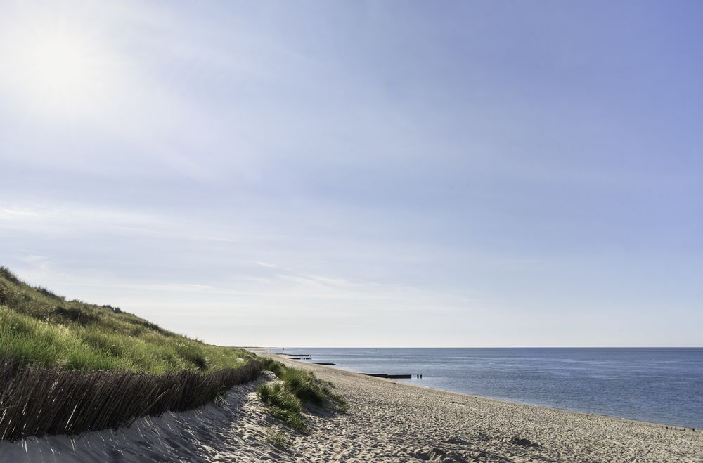 Beach scenery with grassy dune leading to the ocean