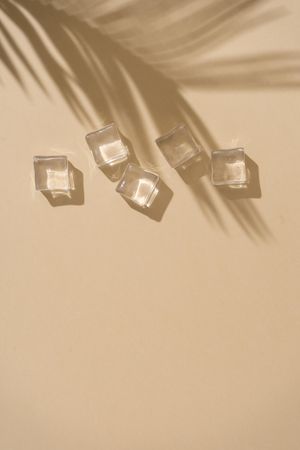 Flat lay of ice cubes on beige background with shadow of palm leaf