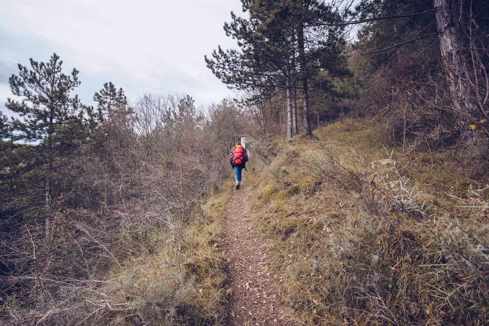 Hiker with backpack walking along pathway in autumn forest