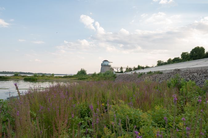 Landscape. Flower meadow on background of lighthouse