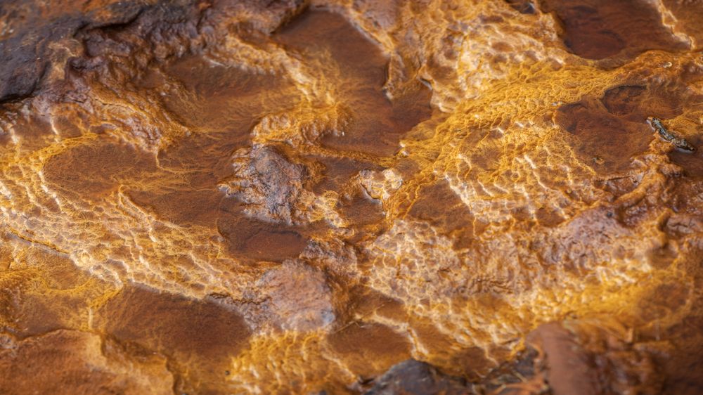 Bright orange splashes in nature