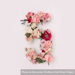 Number 5 made of real natural flowers and leaves 4j8R30