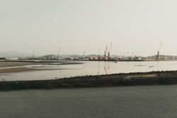 Industrial landscape with sea bay and port cranes
