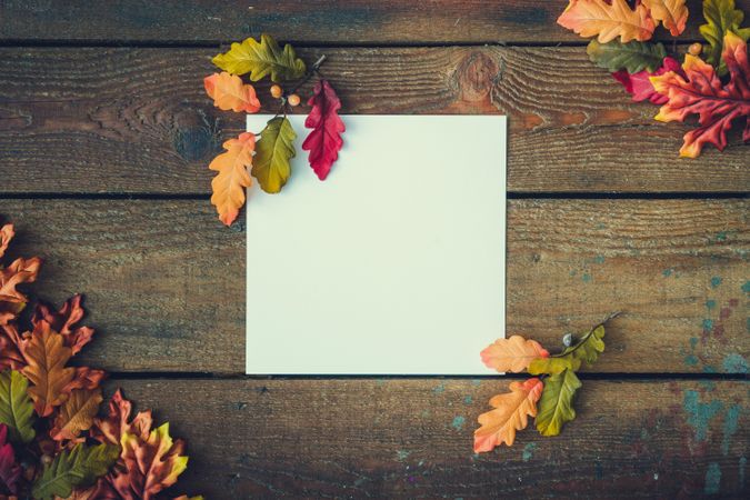 Autumn leaves with paper card note