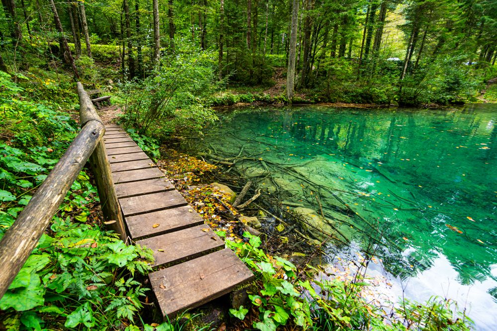 Wooden bridge near river