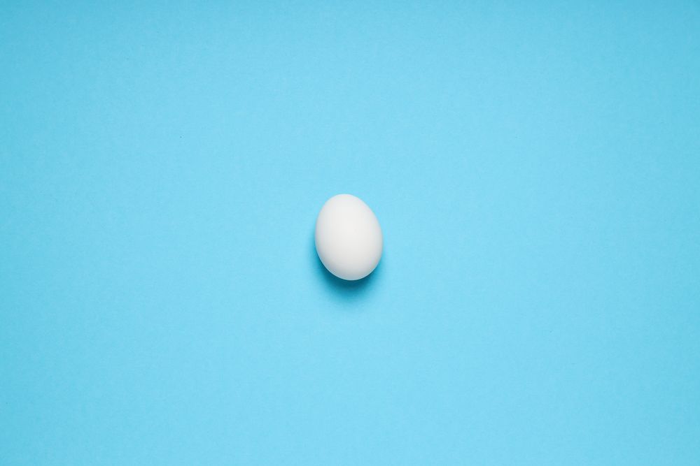 egg on blue background, space for text