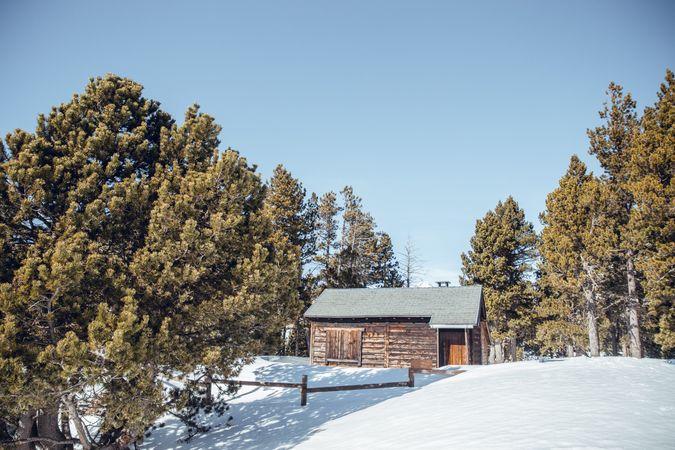 Country house between snow and trees