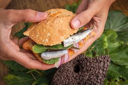Hands grabbing a traditional harvest sandwich