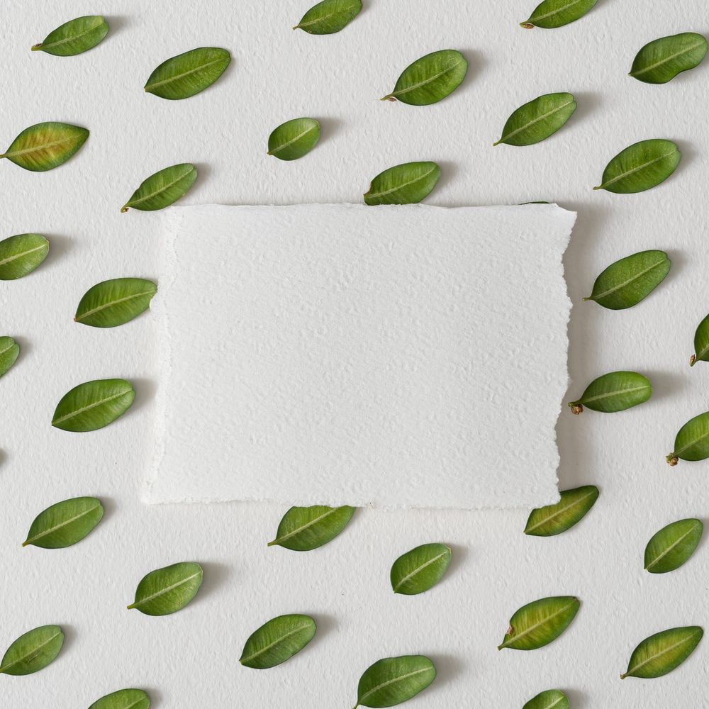 Rows of leaves on light background with paper card