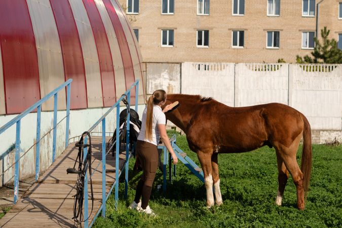 Woman brushing horse at barn entrance