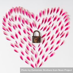 Heart made of pink flower petals with lock bxwPM4