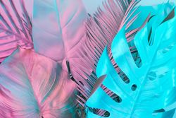 Tropical and palm leaves in vibrant bold gradient holographic colors
