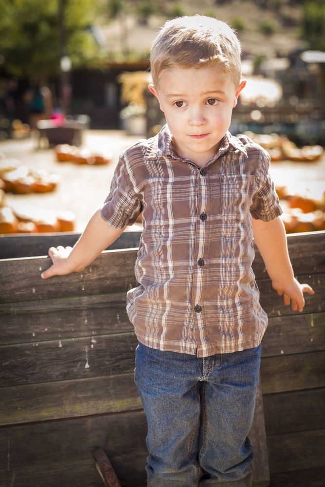 Little Boy Standing Against Old Wood Wagon at Pumpkin Patch.