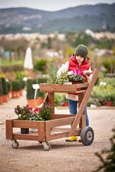 Positive preteen boy rolling wooden cart with potted flowers