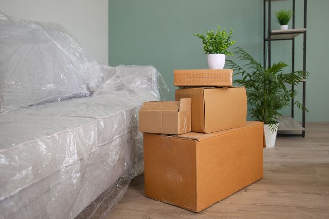 Packed sofa and cardboard boxes in the living room.