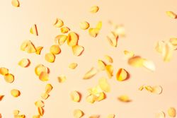 Yellow rose petals scattered on yellow backdrop