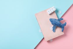 Concept of baby book, space for text